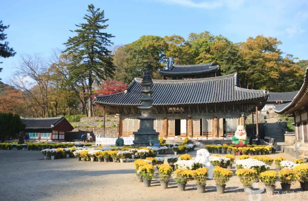 공주 마곡사