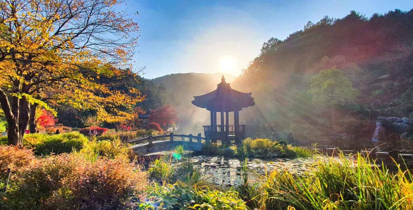 아침고요수목원